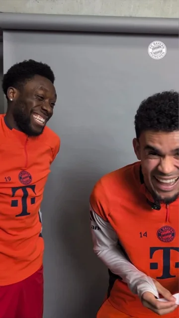 New team insights dropped 👀