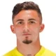 Y. Pino