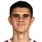 K. Nedeljkovic