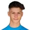 S. Hamzic