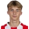 K. Potulski