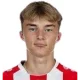 K. Potulski