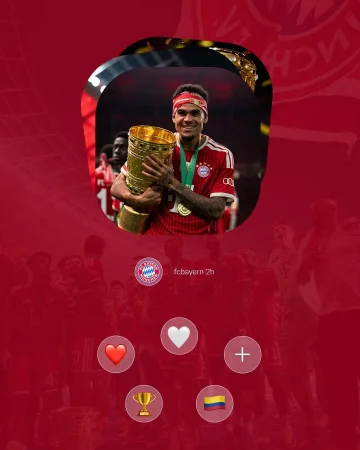 DFB-Pokal celebrations captured in instants 🏆📸